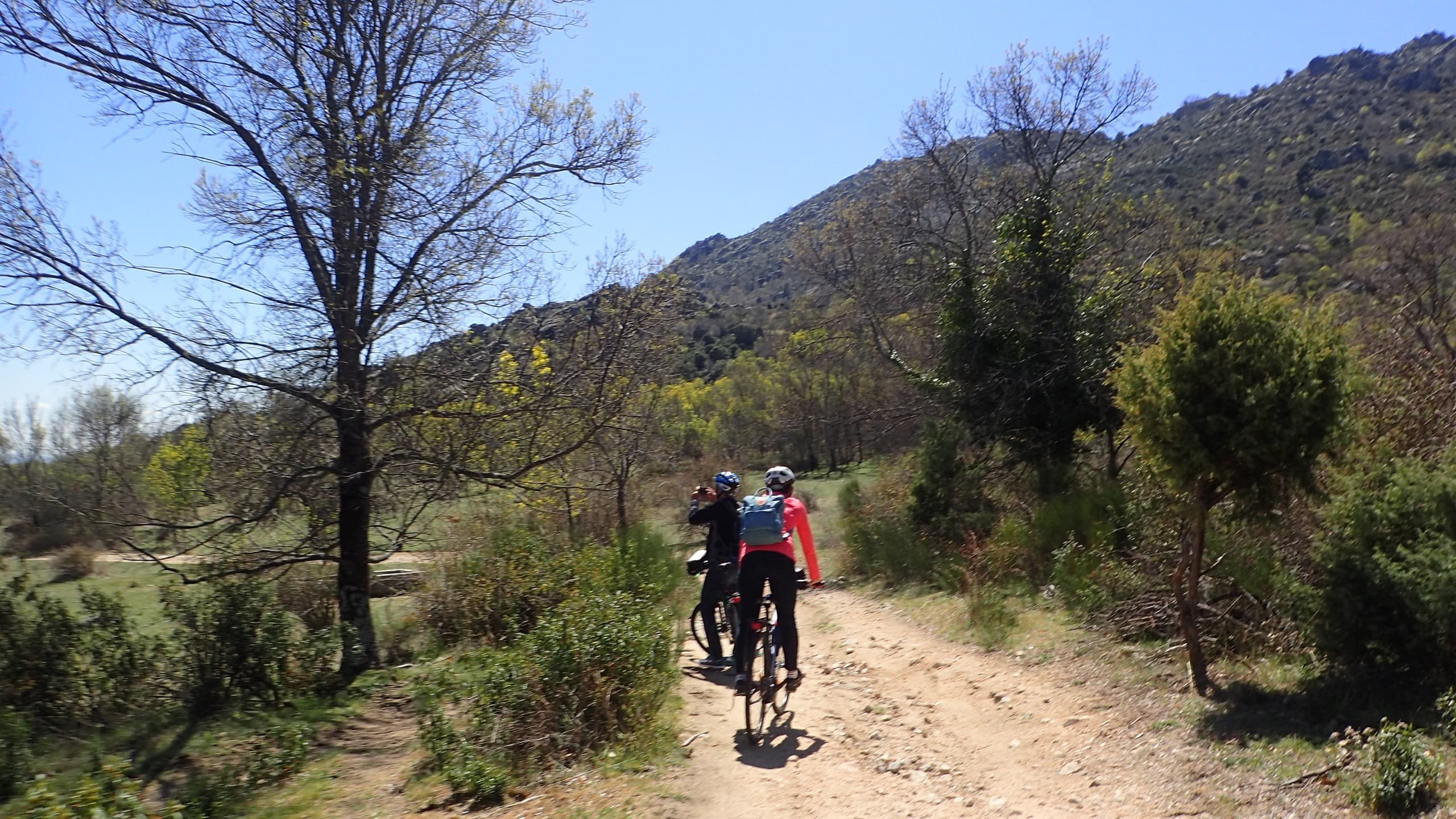 Cyclists riding dirt trail through sunny mountain landscape