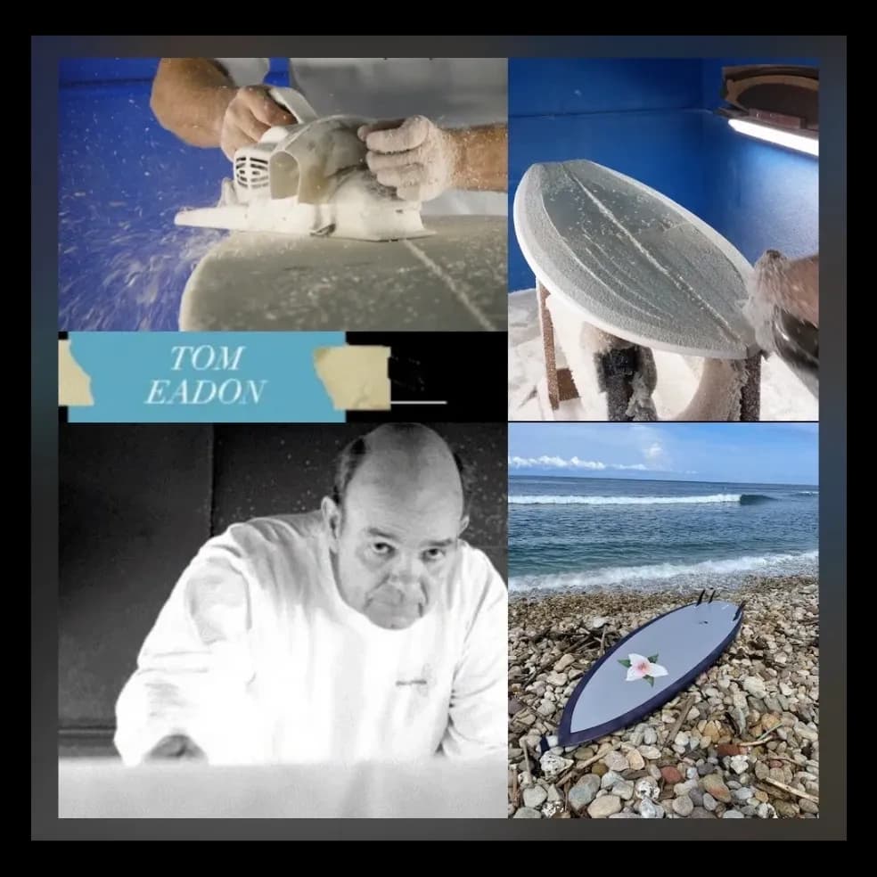 Intro to Surfboard Shaping in Sea Bright, NJ