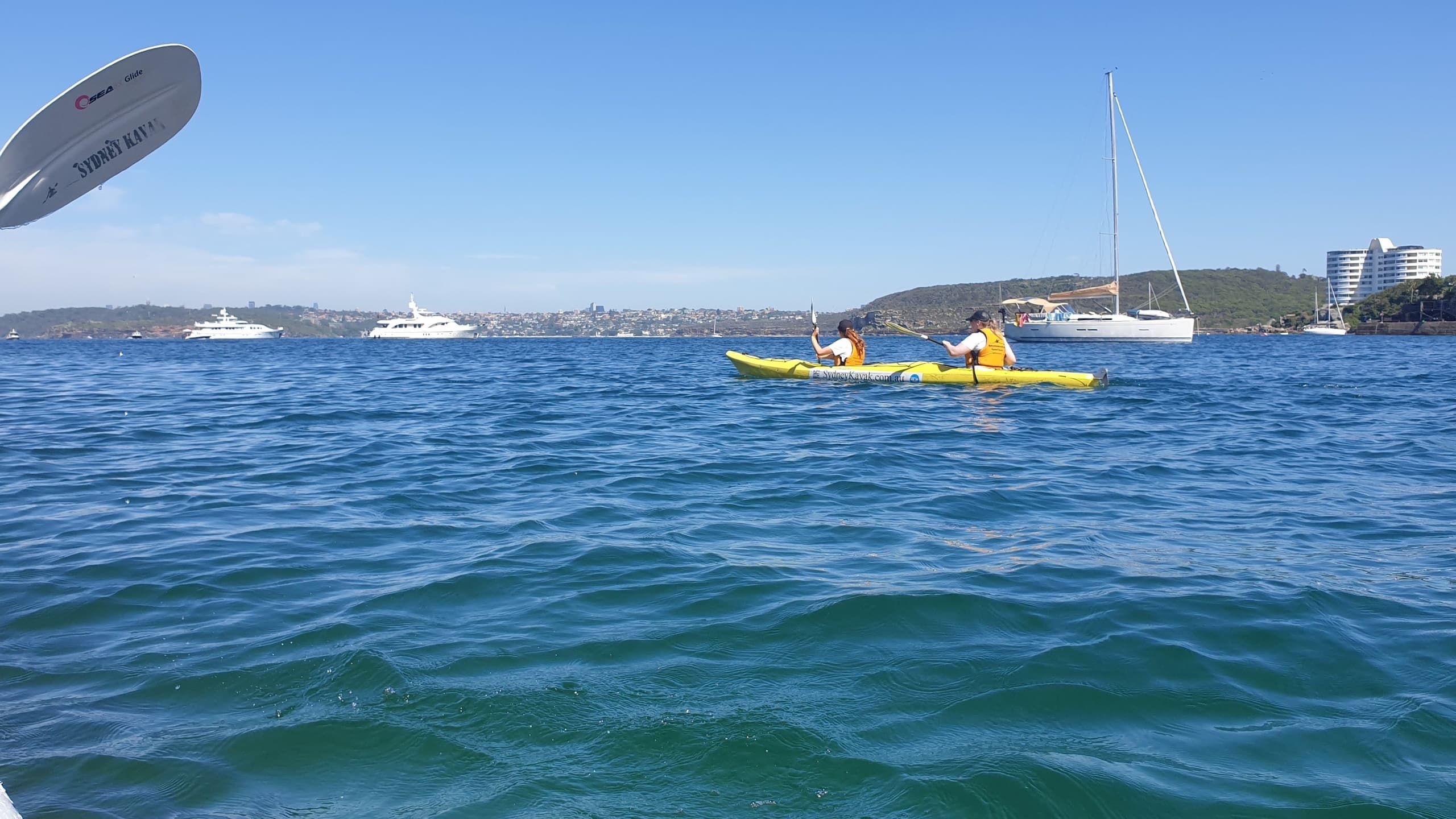 Water Activities in Sydney: Manly Paddle Kayak Adventure