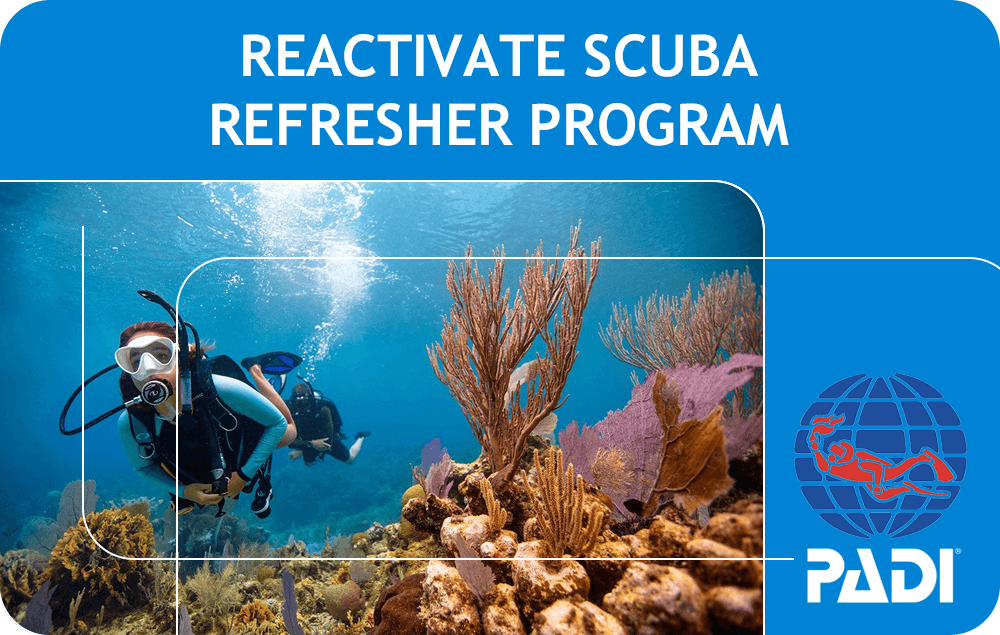 Scuba Refresher with The Dive Institute in [Location]
