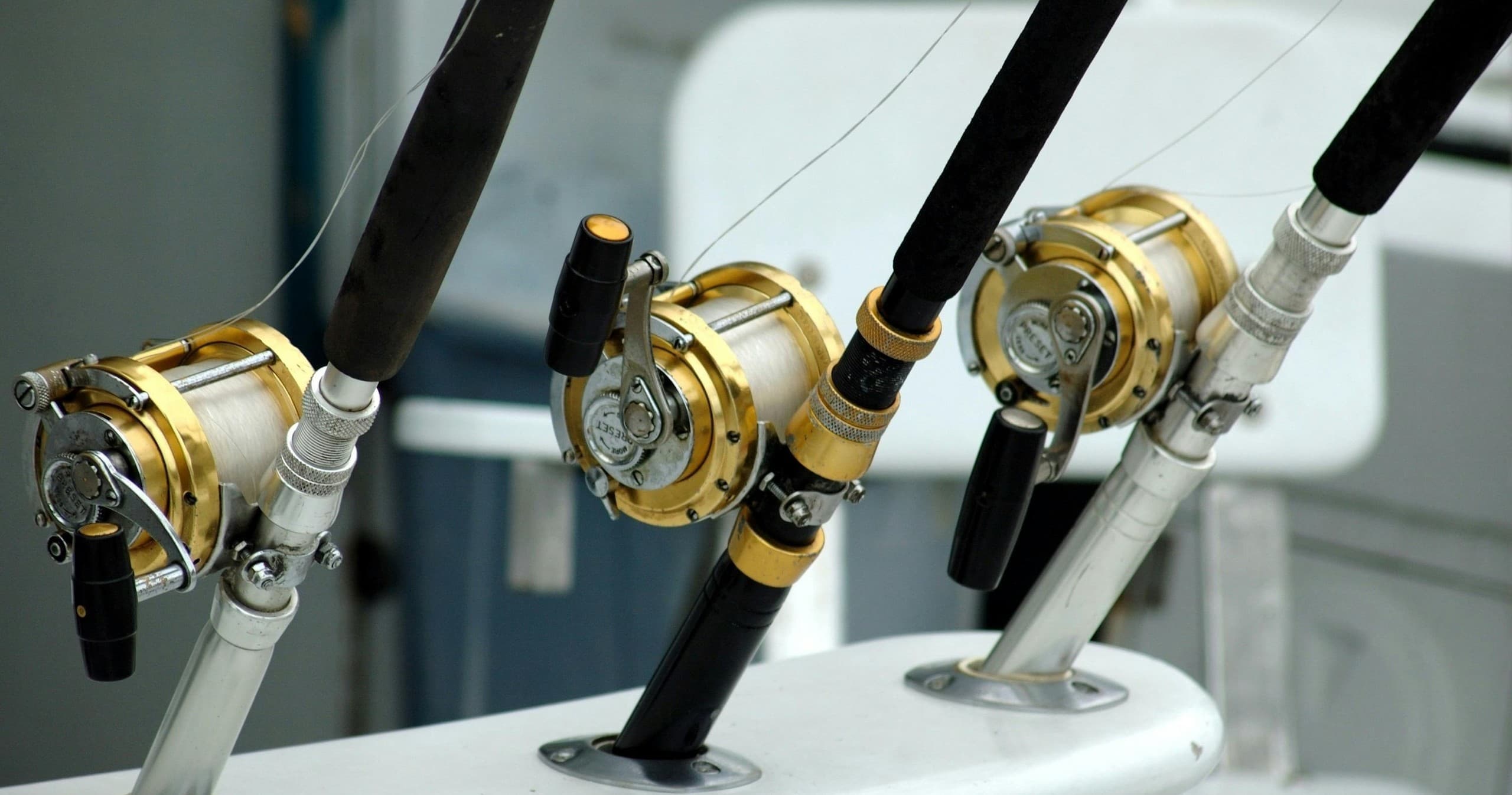 Fish Triton team