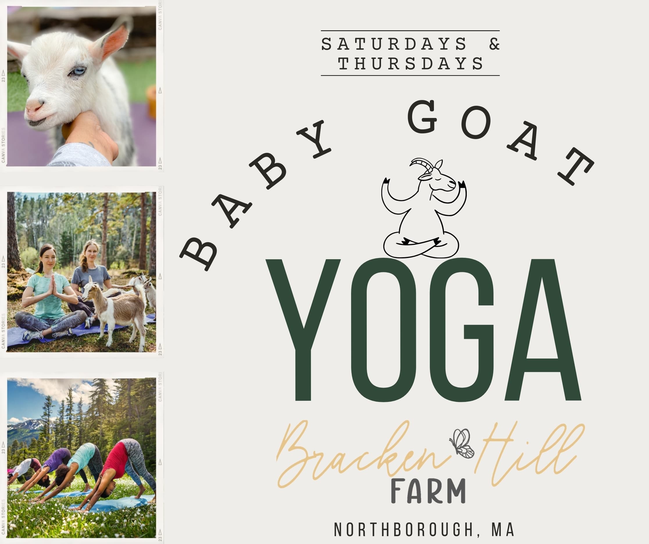 Outdoor Yoga & Animal Encounter at Bracken Hill Farm