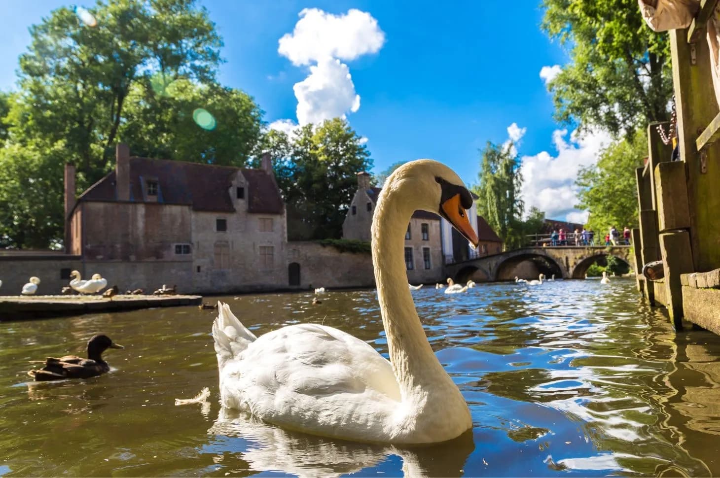 Water Adventures with Hispano Tours in Brujas