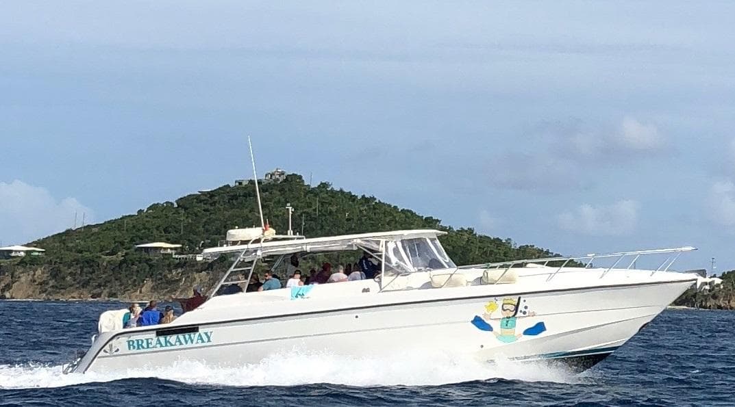 Snorkel St John Tour from Sapphire & Margaritaville