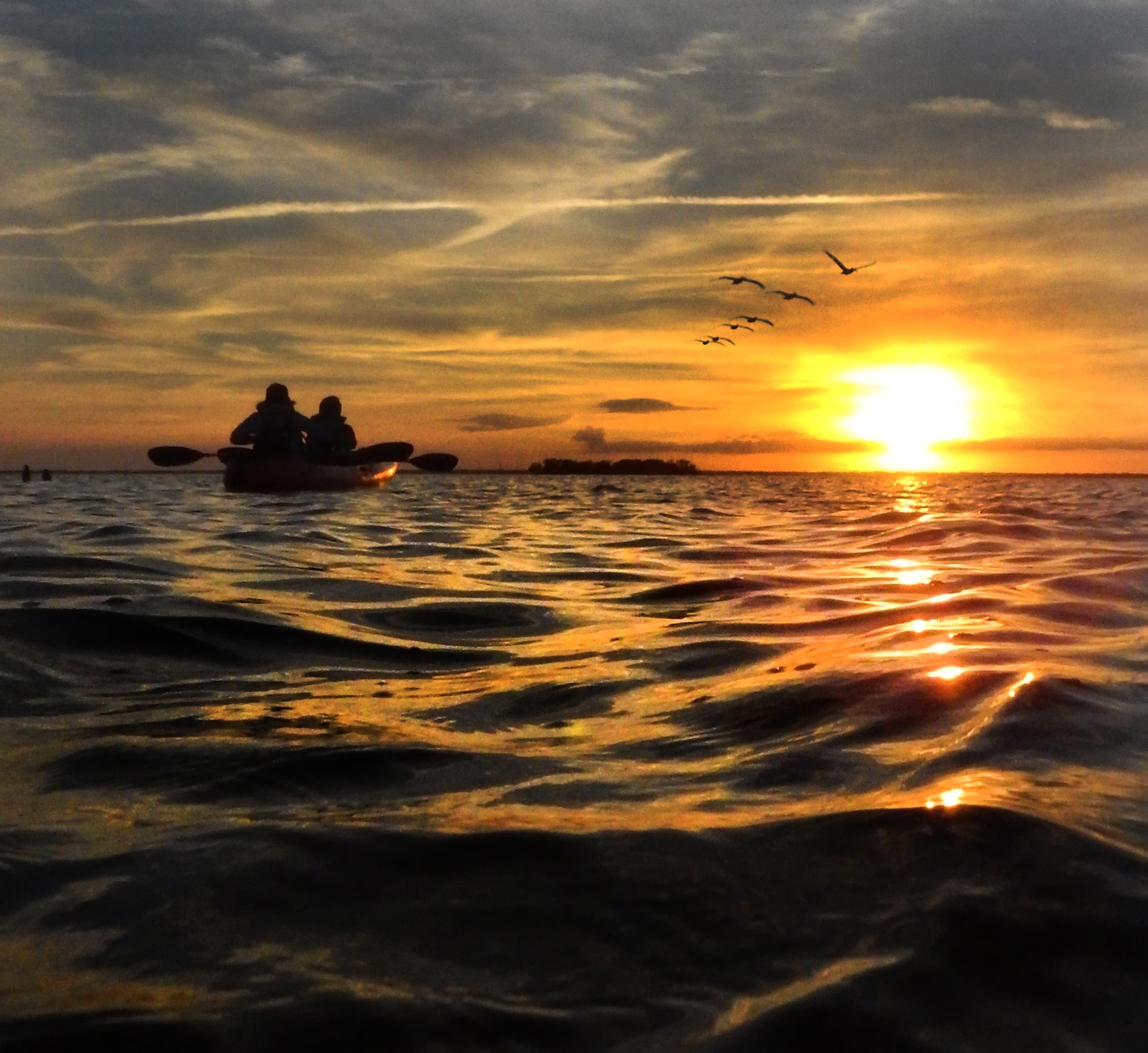 Kayakers silhouetted at sunset paddling on calm ocean