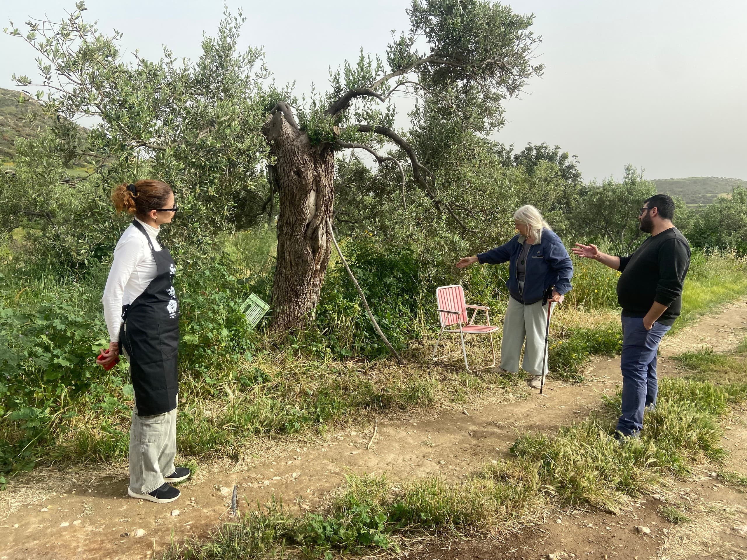 Garden-to-Table: Botanical Garden & Organic Olive Grove Experience in Larnaca photo 2