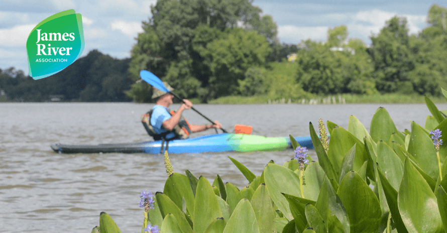 Explore Powhatan Creek by Kayak in Williamsburg, VA