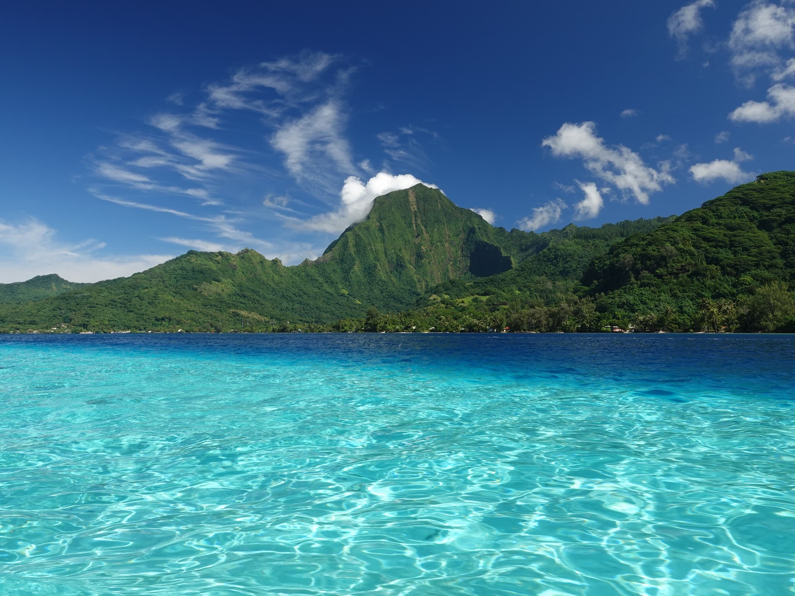 Sea Scooter Jet Snorkeling on Moorea: Electric Reef Adventure with Turtles & Rays photo 1