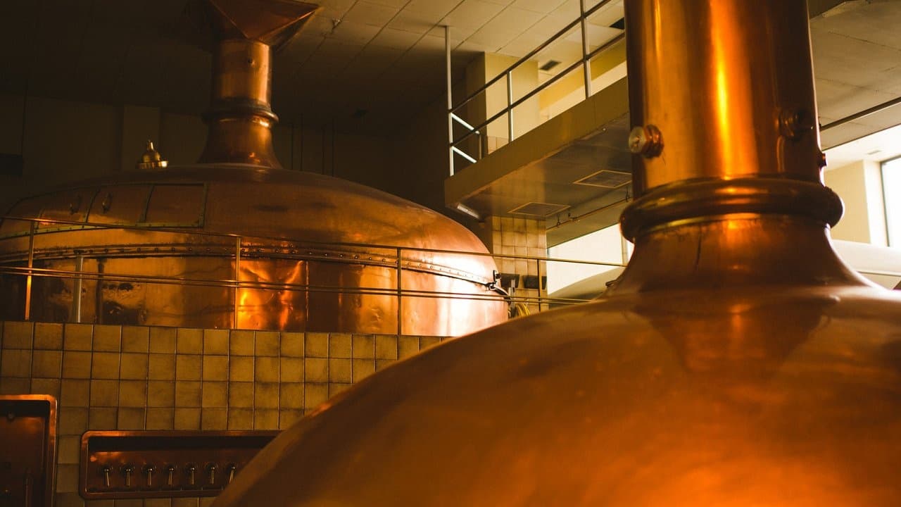 Copper brewing vats inside Moosehead brewery during beer production tour