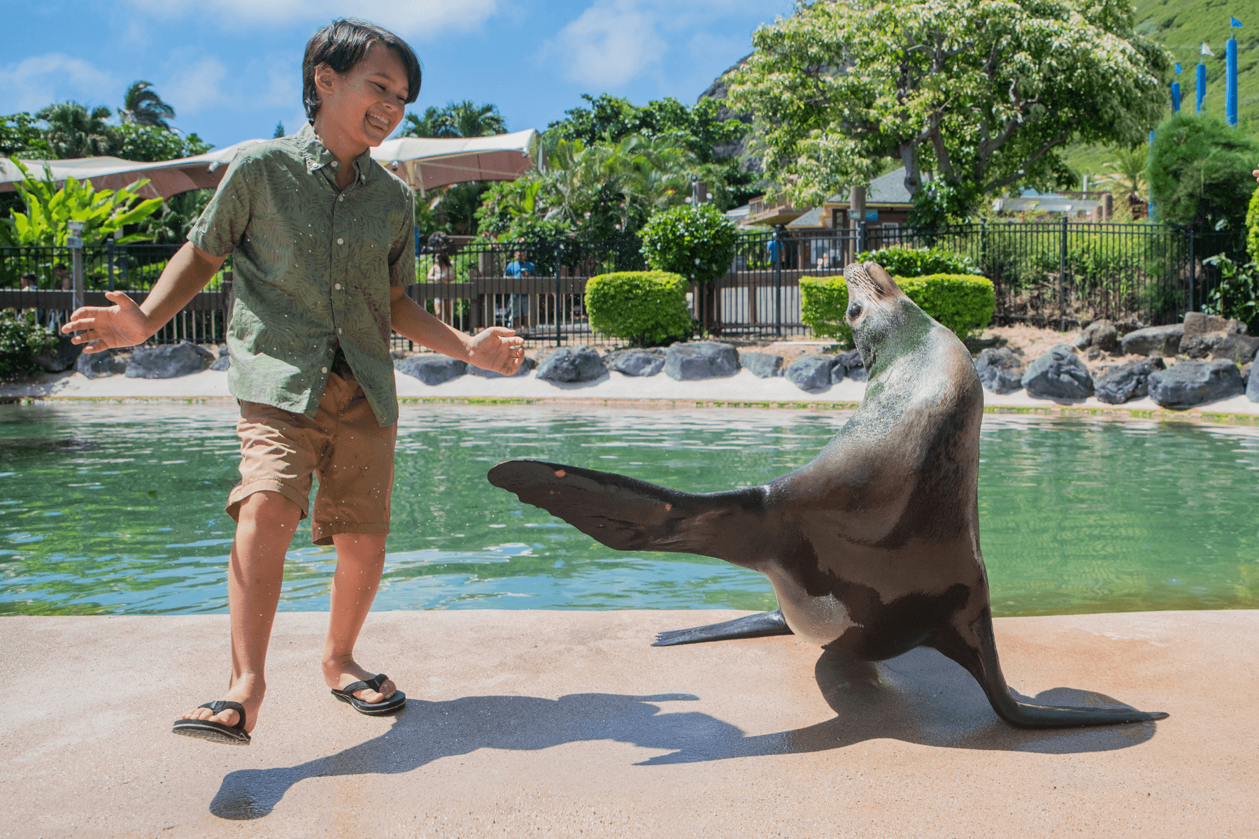 Wildlife & Marine Tours at Sea Life Park