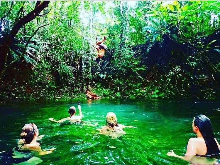 Atherton Tablelands & Cape Tribulation with Uncle Brian's Tours