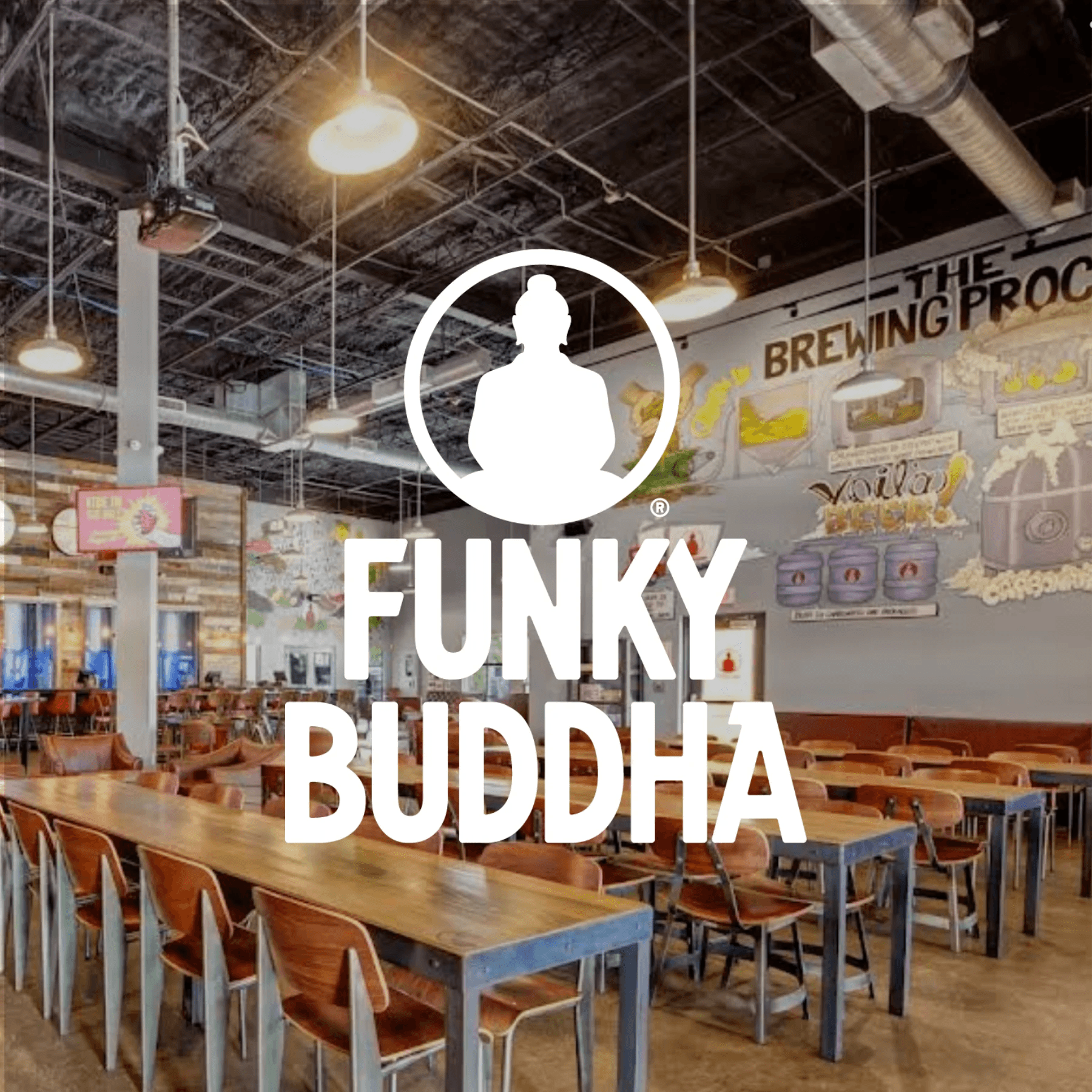 Bonsai Bar at Funky Buddha Brewery: Make a Tiny Bonsai in Fort Lauderdale