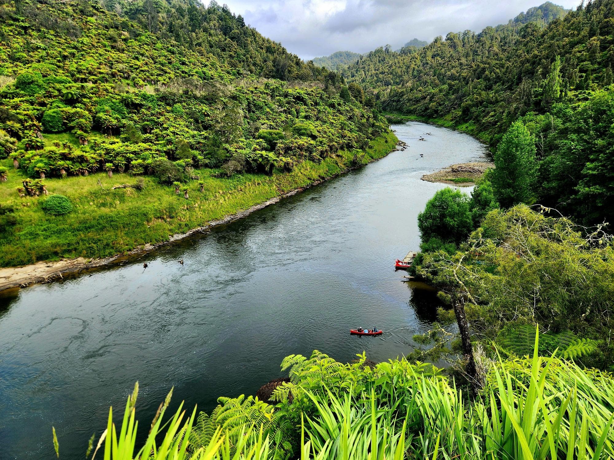 4-Day Canoe Adventure on New Zealand’s Whanganui River: Paddle, Camp, and Explore