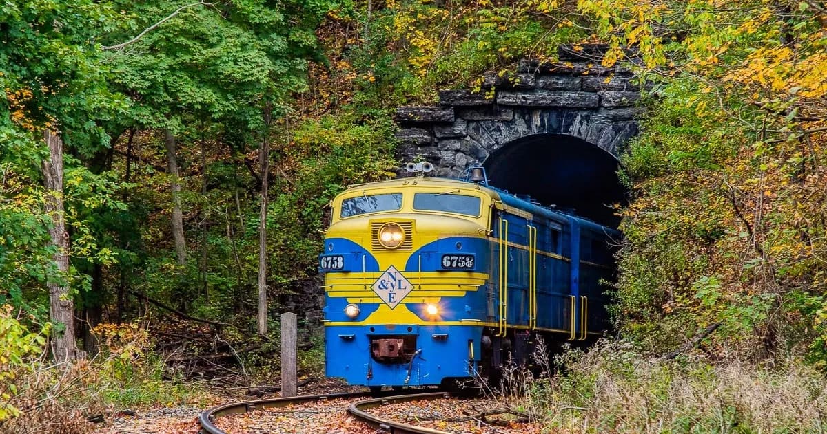 Fall Foliage Scenic Train Trip with New York & Lake Erie Railroad