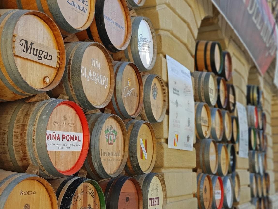 Rioja Wine Tour with Local Experts Tours from Pamplona