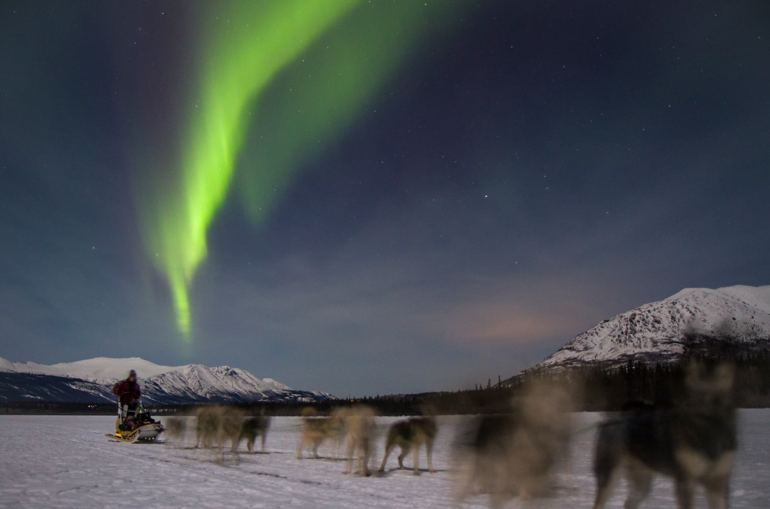 Dog Sledding Yukon | Boreal Kennels Multi-Day Expedition