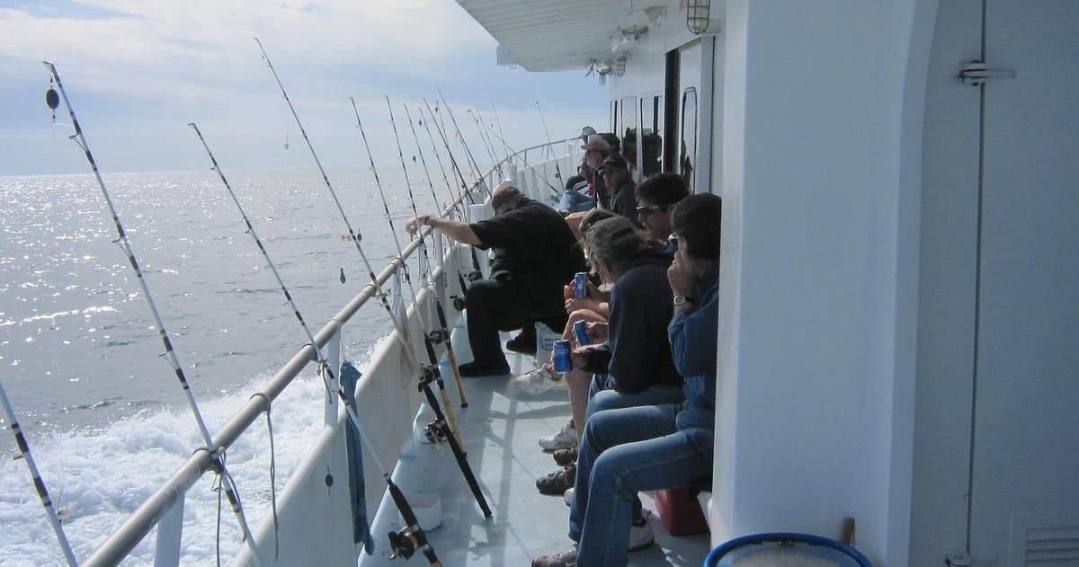 Offshore Fishing Adventure with Dolphin Deep Sea Fishing