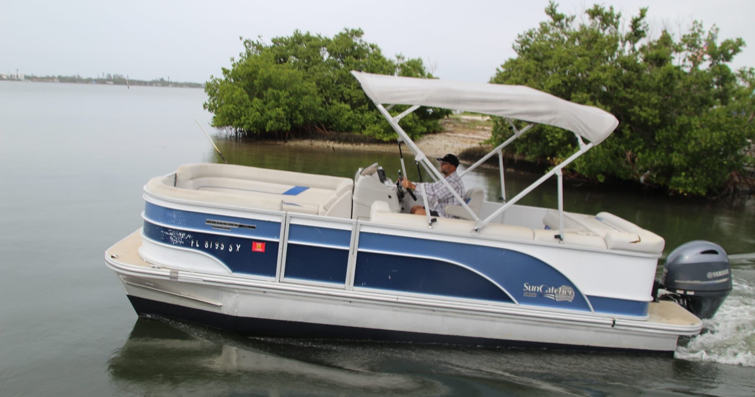 Blue and white pontoon boat touring tranquil mangrove-lined bay area