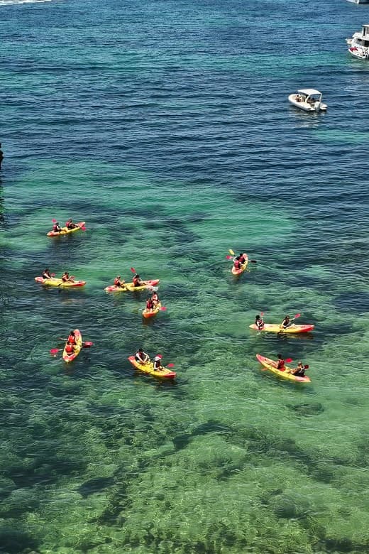 Aerial view of group kayaking over clear emerald coastal reef