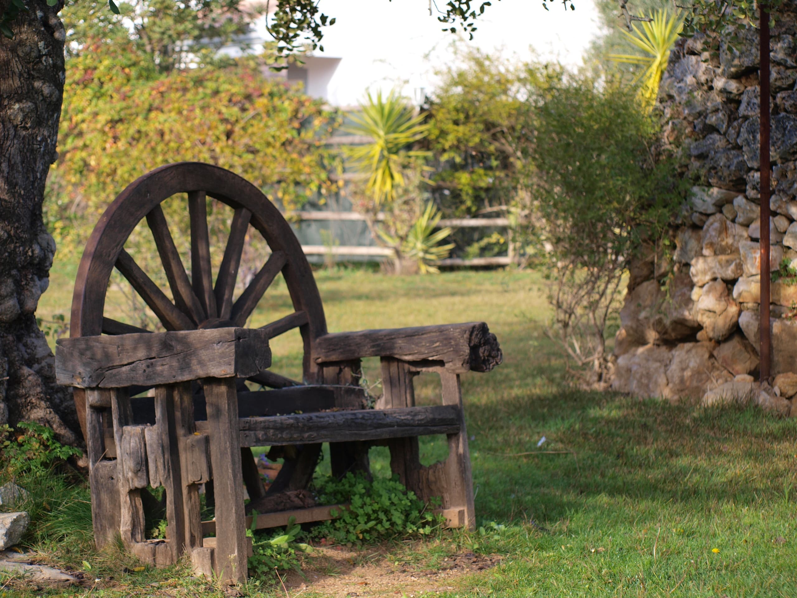 Cultural Journeys with Portitours in Algarve’s Heart