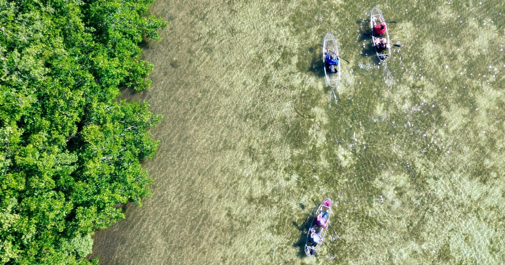 Clear Kayaking Adventures with Get Up and Go Kayaking - Sarasota