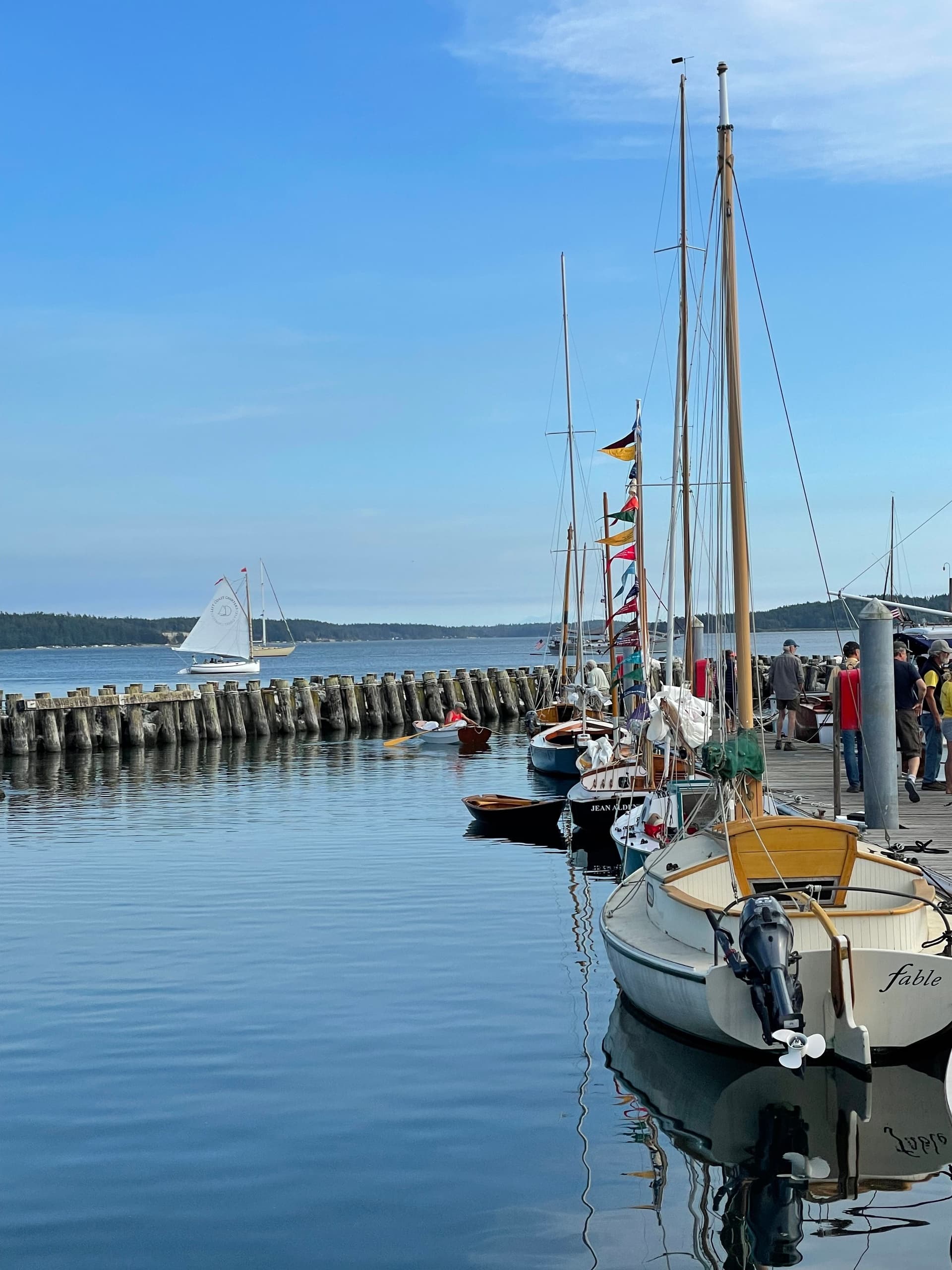 Water-activities: Port Townsend Wooden Boat Festival Day Sail with Left Coast Charters
