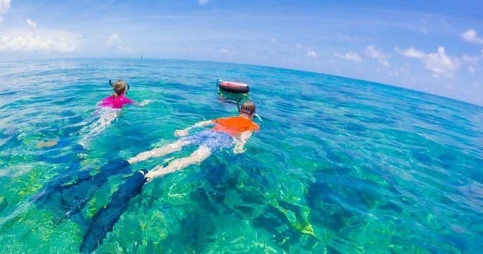 Snorkelers exploring clear turquoise ocean near reef
