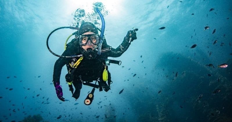 Self-Reliant Diver Specialty: Solo Diving Certification at Catalina's Kelp Forests