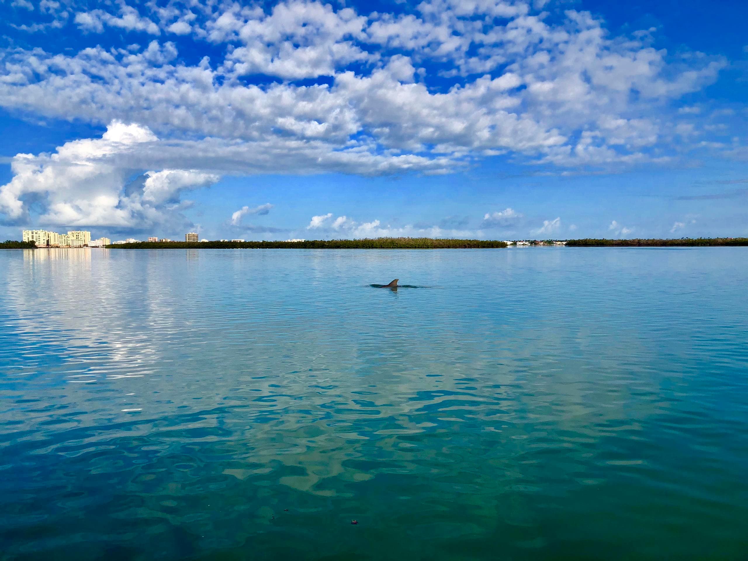 Calm turquoise bay at sunrise, perfect scenic boat trip view