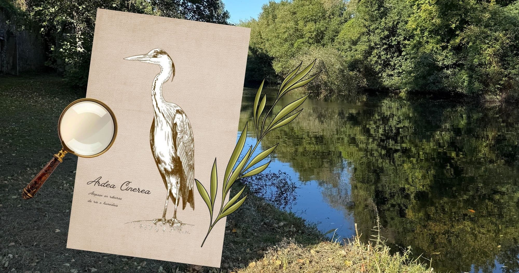 Explore the Xuvia River: Naturalistas Guided Nature Journal Expedition in Narón