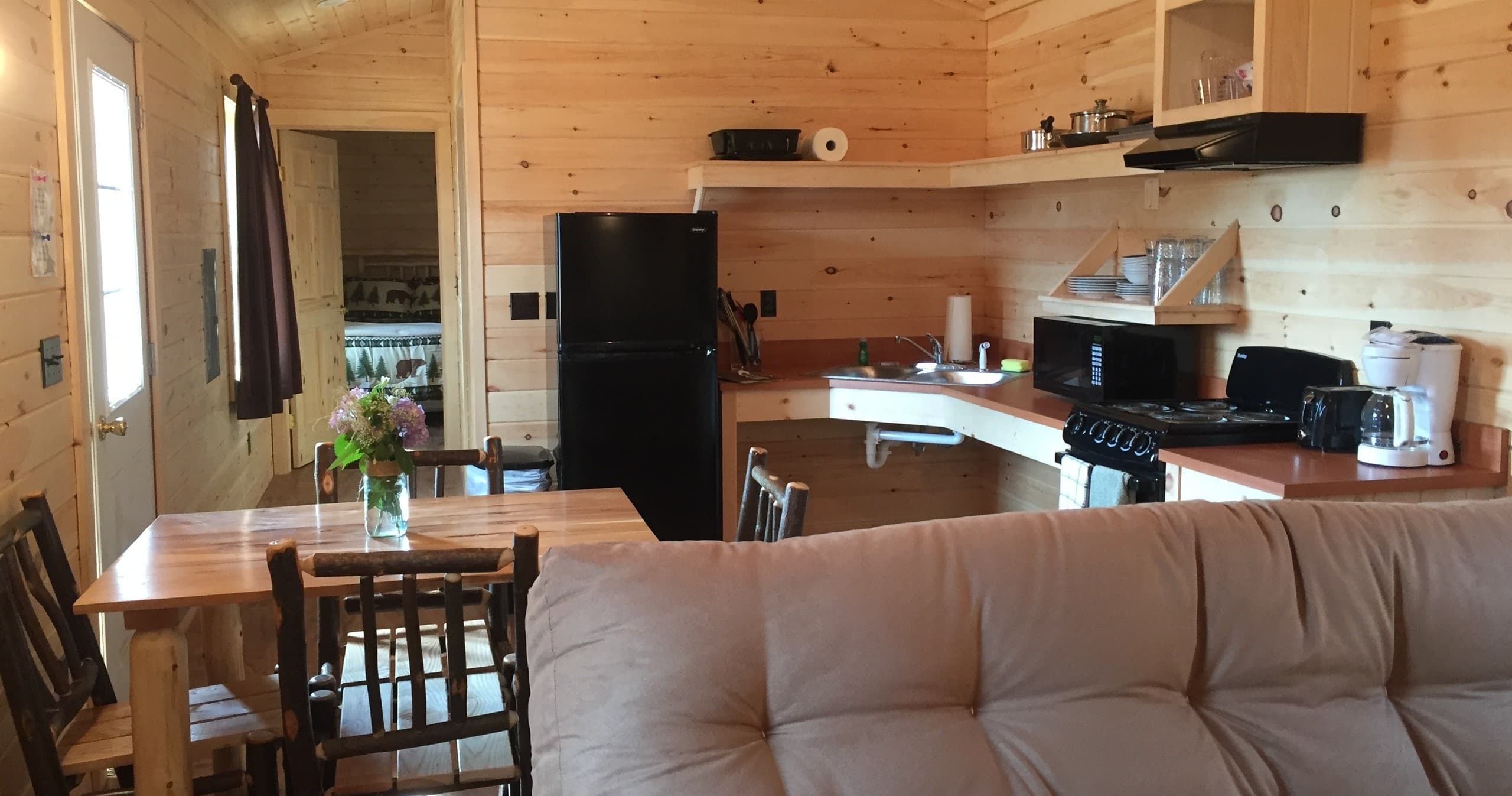 Cabin #1 — Cozy Adirondack Cabin on Sodus Bay Near Chimney Bluffs