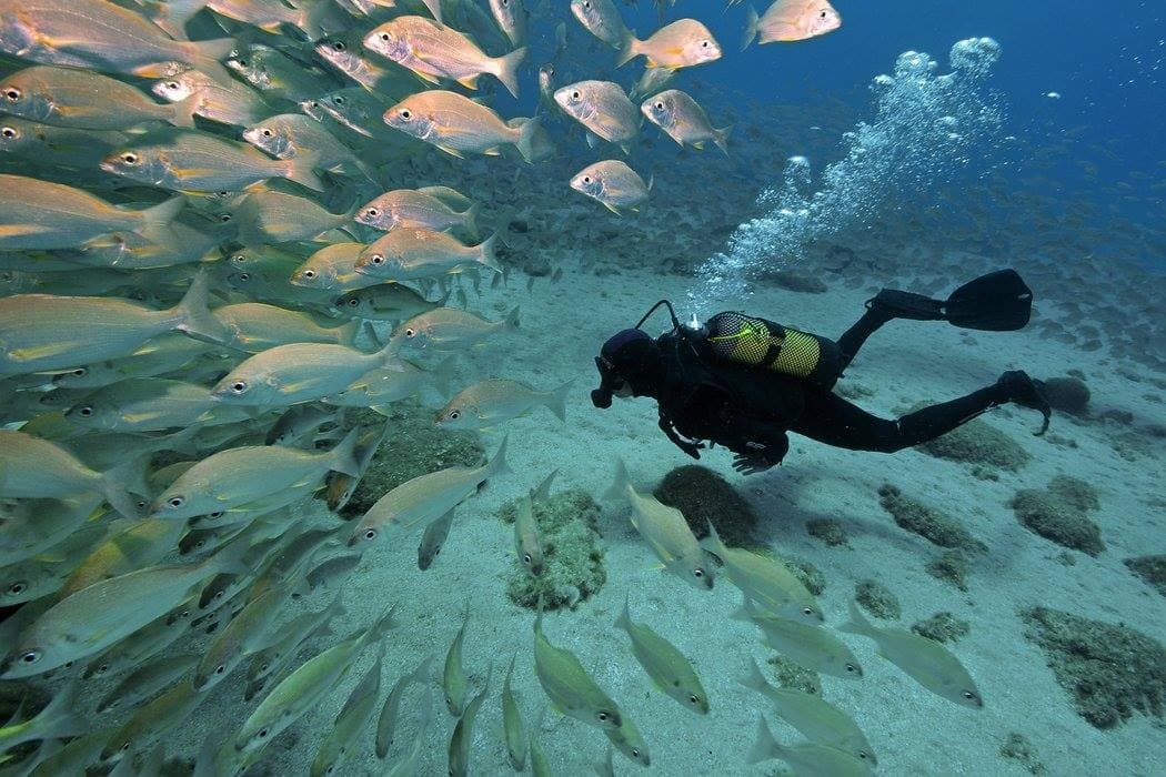 Advanced Diver Certification with Bonito Diving Lanzarote in Playa Blanca