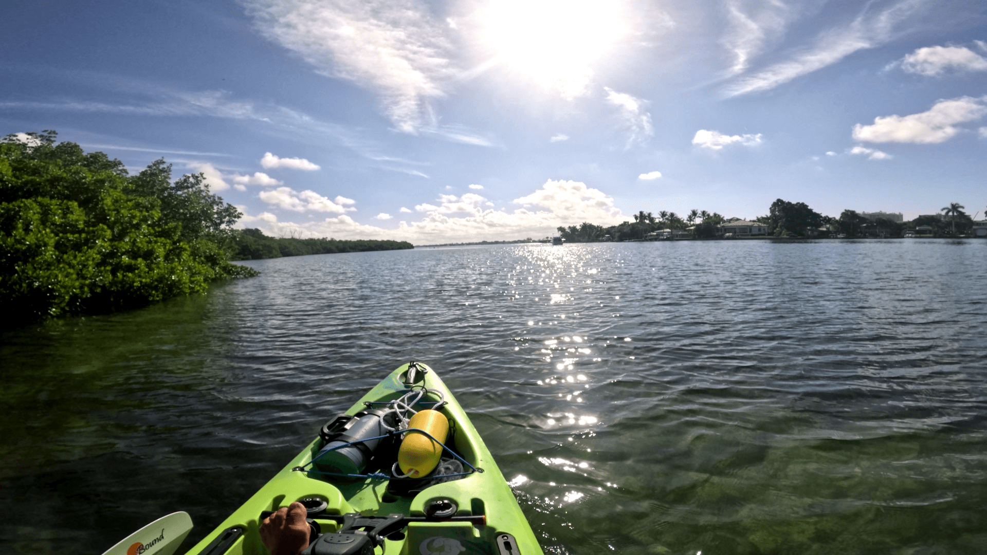 Pedal Kayak Adventures at Bird Key Park with Liquid Blue Outfitters