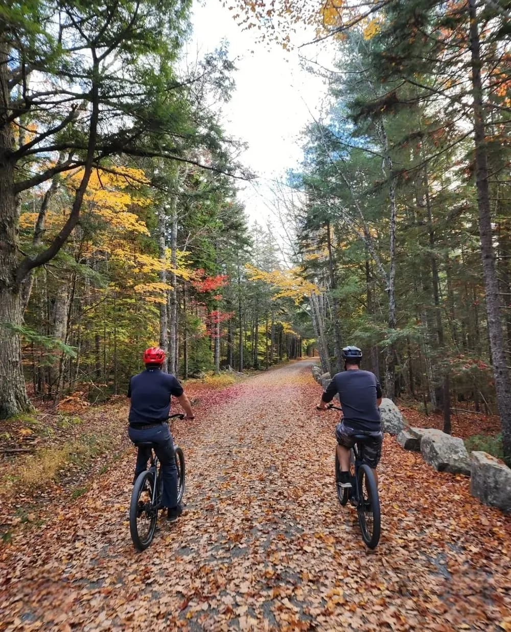 Full Day Freedom: Fat-Tire E-Bike Carriage Road Tour from Bar Harbor