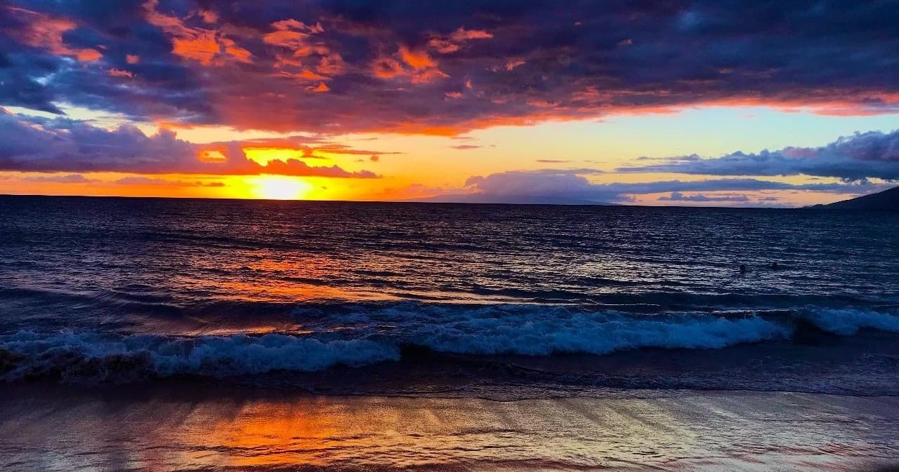 Explore Maui’s Underwater Nightlife: 2 Tank Dusk and Night Dive Adventure from Maalaea Harbor