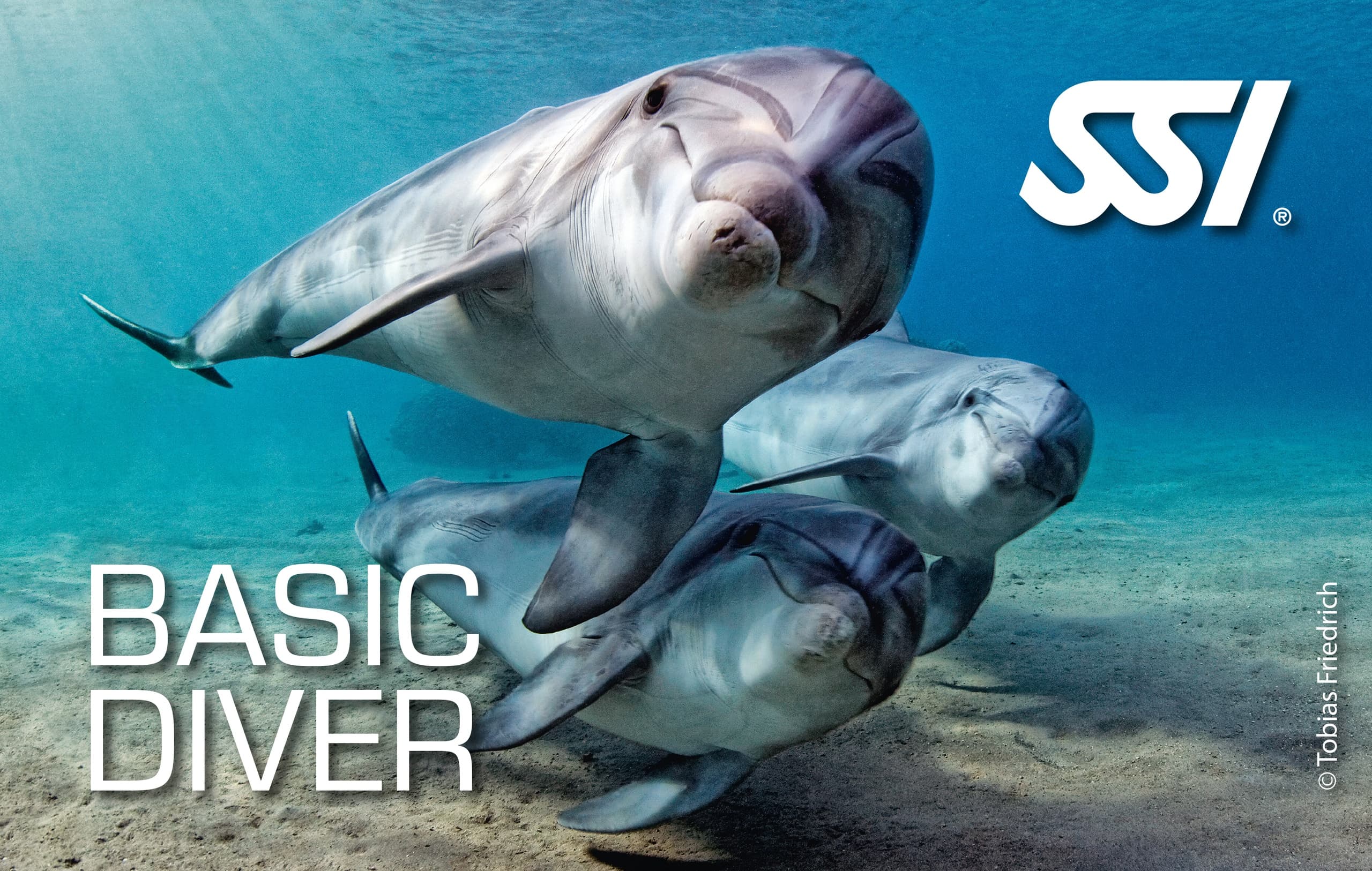 Diving Adventure at Karleyth Diving: SSI Basic Diver Course
