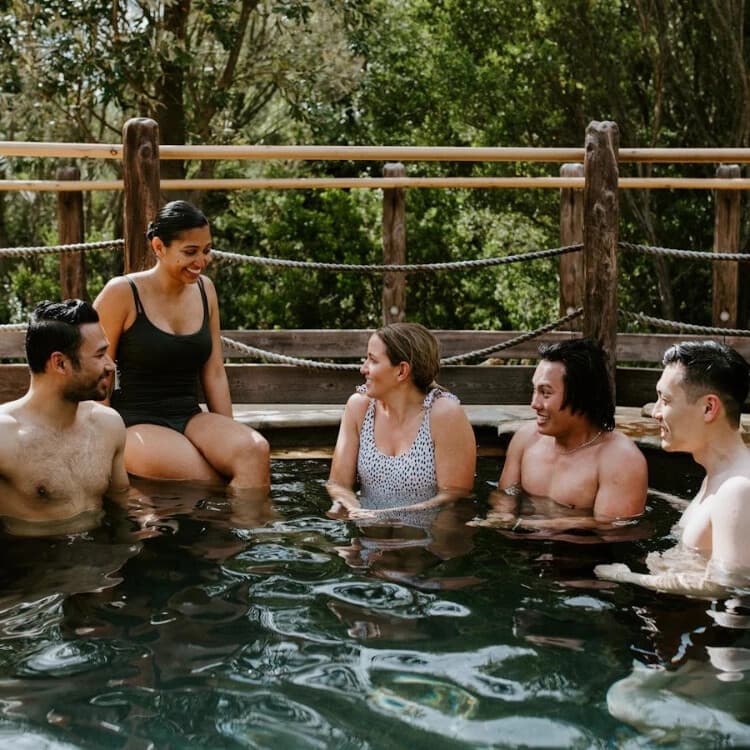 Melbourne Day Trip: Mornington Peninsula Hot Springs, Winery Tastings & Phillip Island Penguin Parade