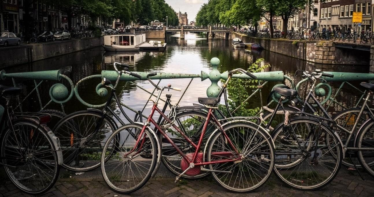 Authentic Amsterdam Tours by Camaleon Tours