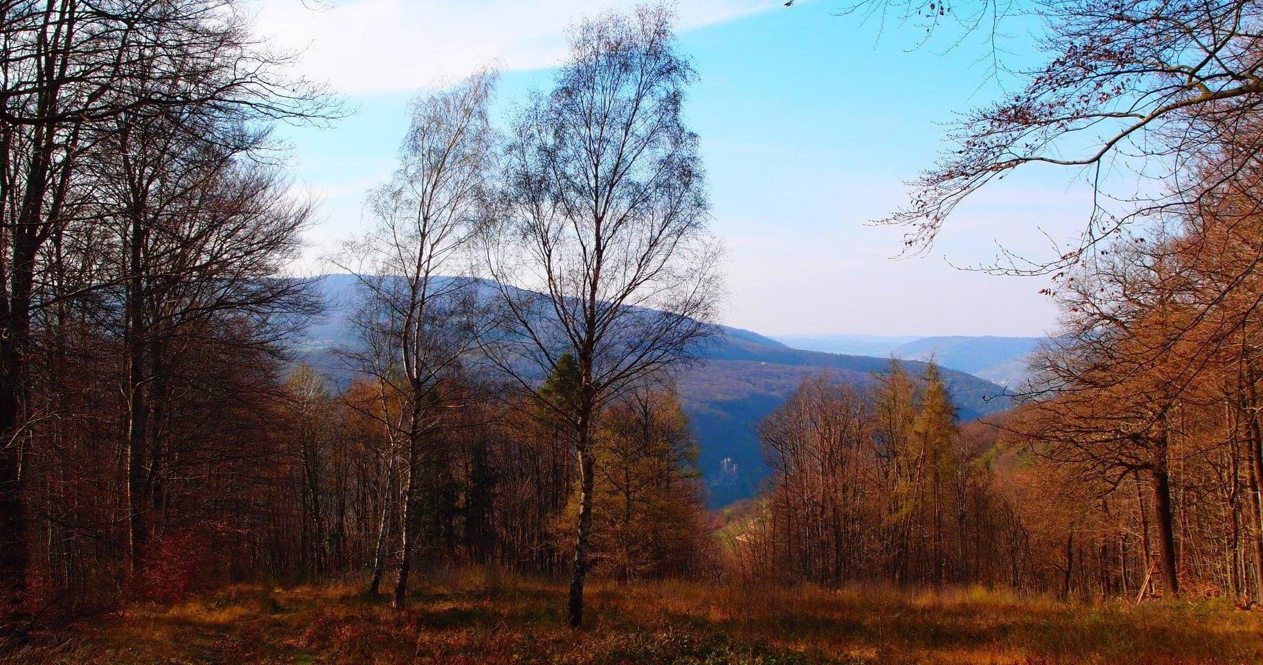 Autumn mountain forest vista for scenic hiking tours