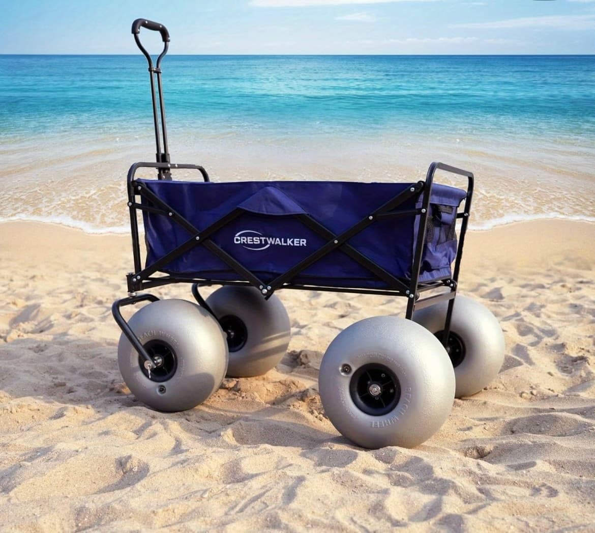 Beach Cart Rental Surf Adventure in Beach Haven, NJ