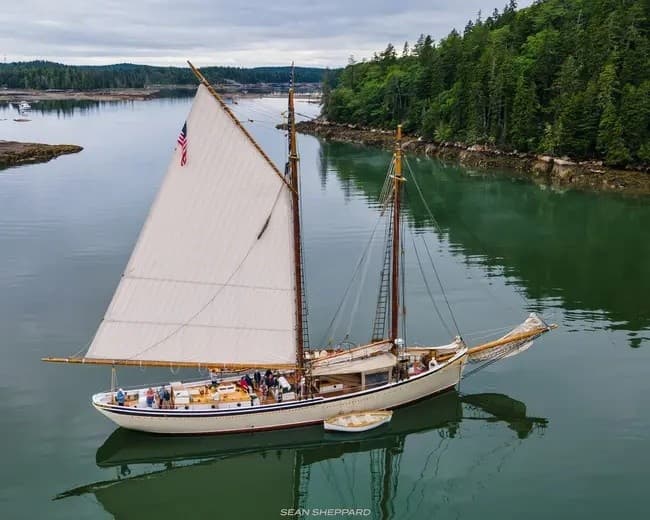 Sail the Schooner American Eagle: 4-Hour Day Sail from Rockland Harbor, Maine photo 4
