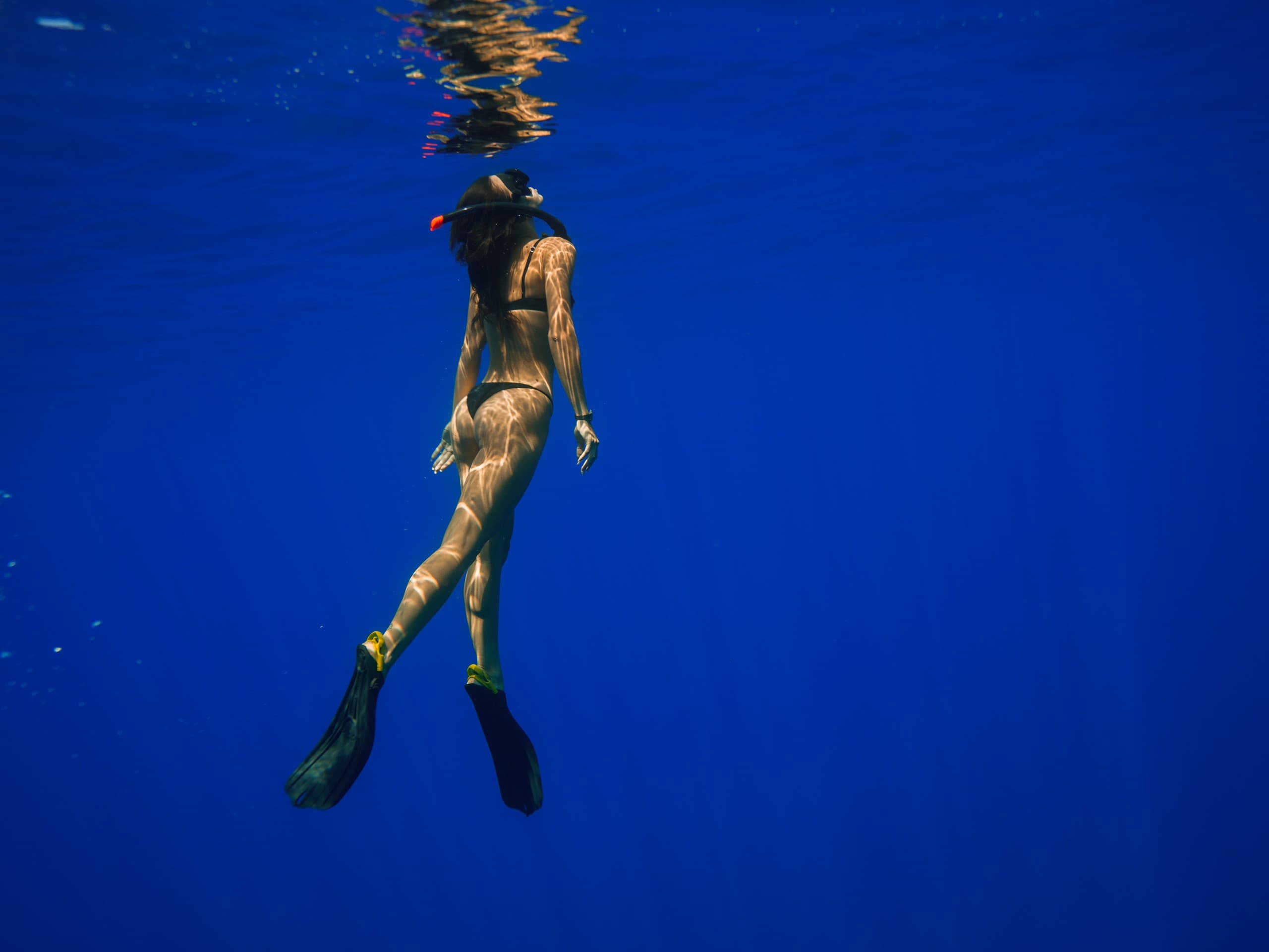 Private Lanai Snorkel Safari: Private Charter from Lahaina to Pristine Reefs photo 1