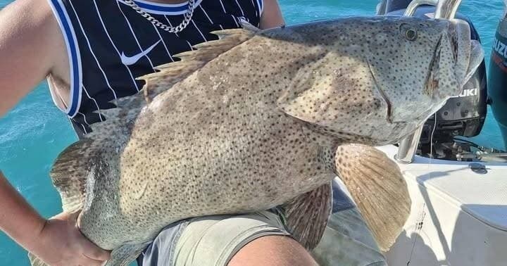 Half-Day Whitsunday Reef Fishing: Private Charter from Coral Sea Marina
