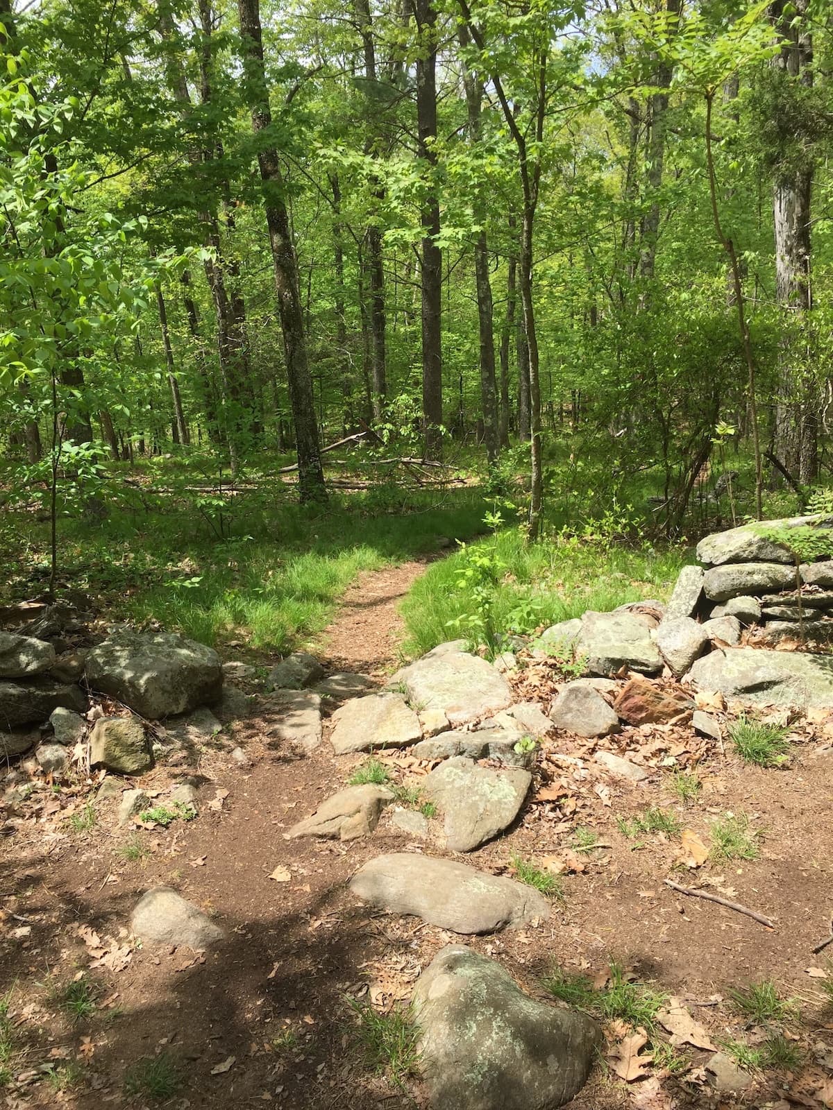 Mountain Biking Clinic at Dynamic Cycling Adventures in East Hampton