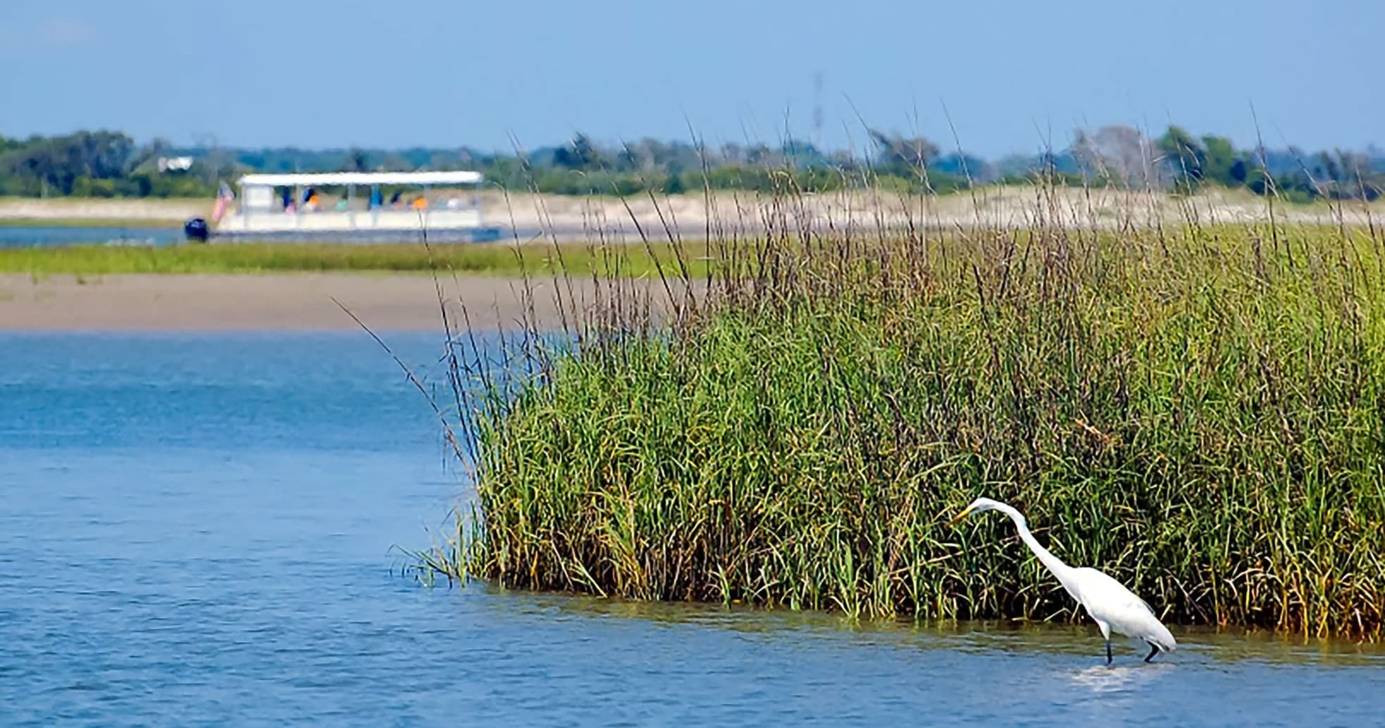 Discover Swansboro's Waterfront on an Afternoon Scenic and History Cruise