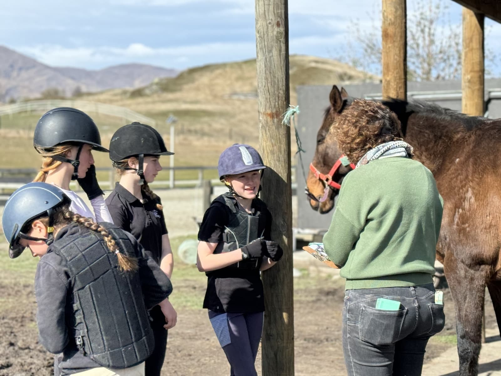 Ace the D+ Examination at Shotover Equestrian - Queenstown Pony Club Test Prep