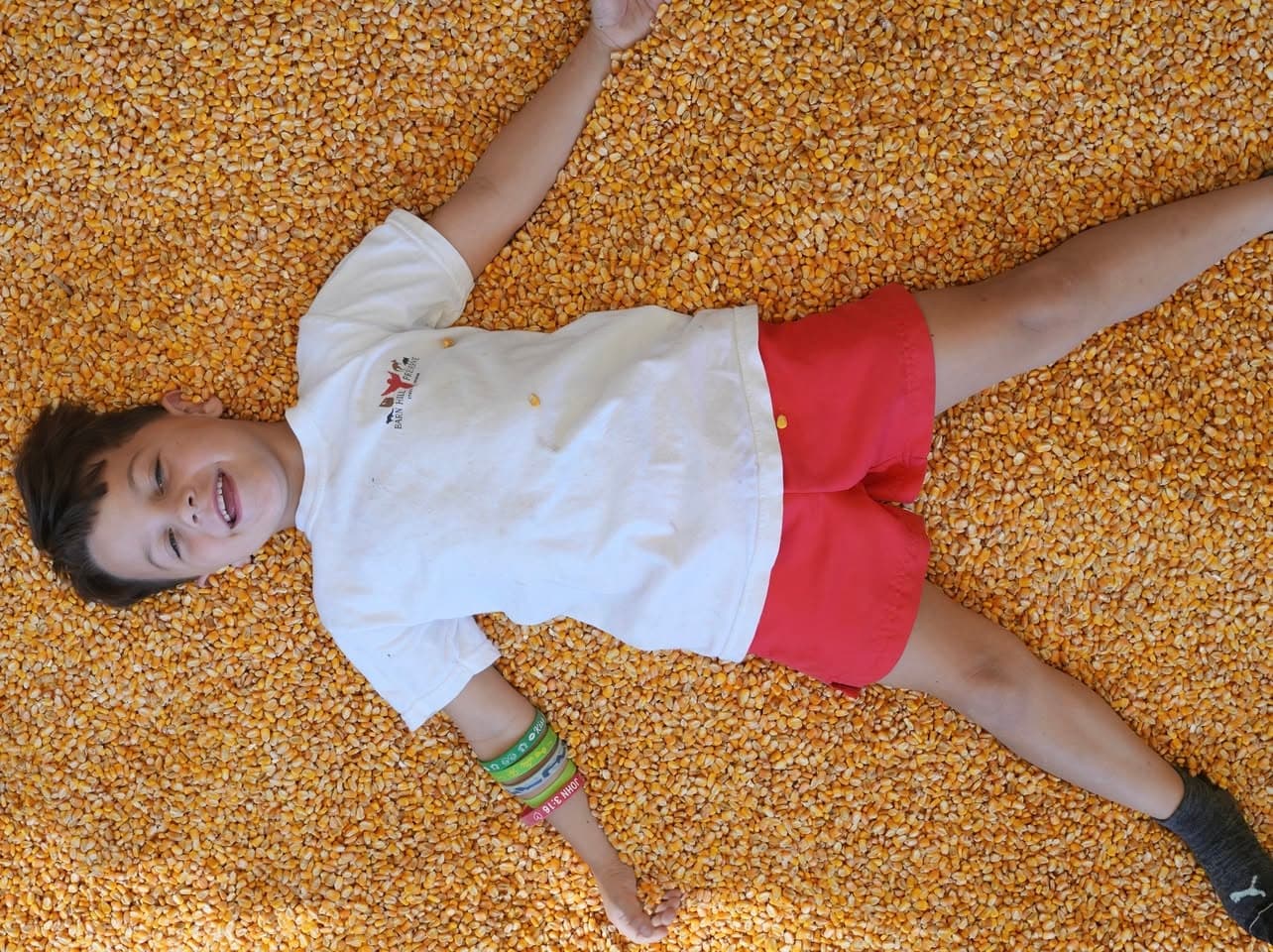 Child lying in corn pit at fall farm festival, playful pose