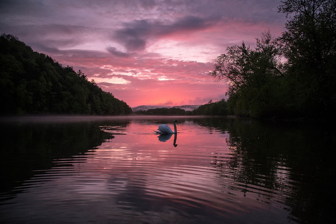 Kinzua Dam to Buckaloons: 2-Day Adventure in Warren, PA