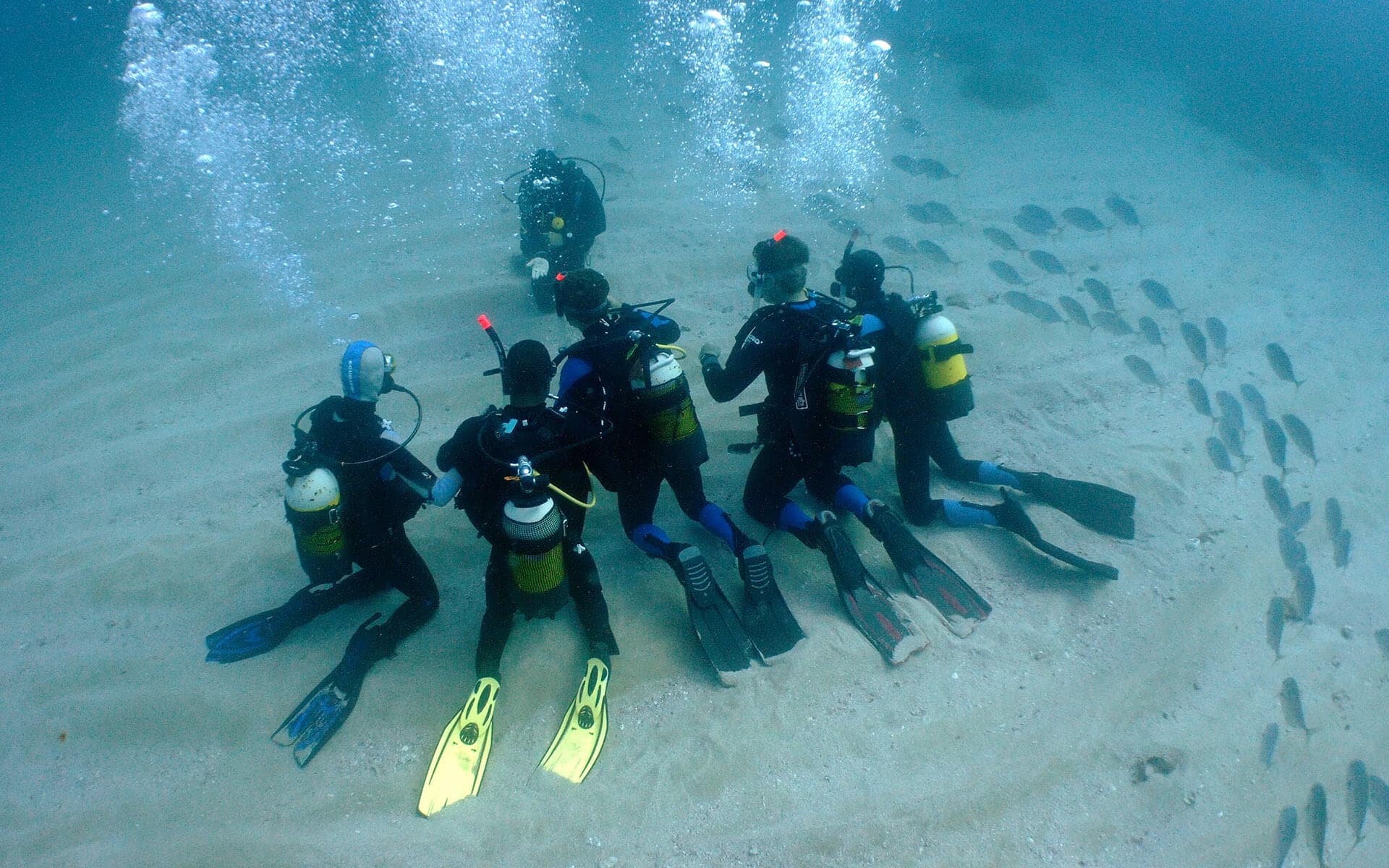 Diving Adventure at Calafató with Nautic Parc Costa Daurada