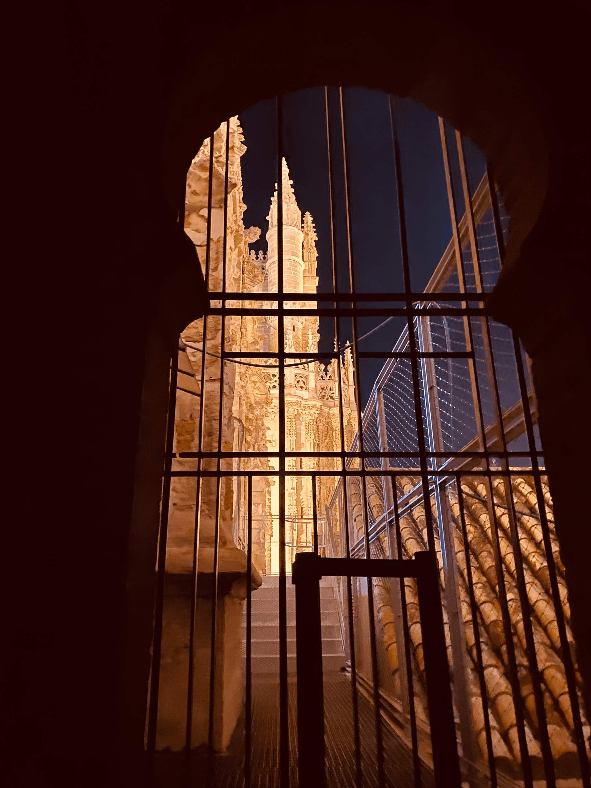 After Dark at Seville Cathedral: Candlelit Gothic Tour & Video-Mapping photo 4